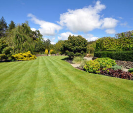 a beautiful English country garden, a beautiful lawn edged by colourful boarders.